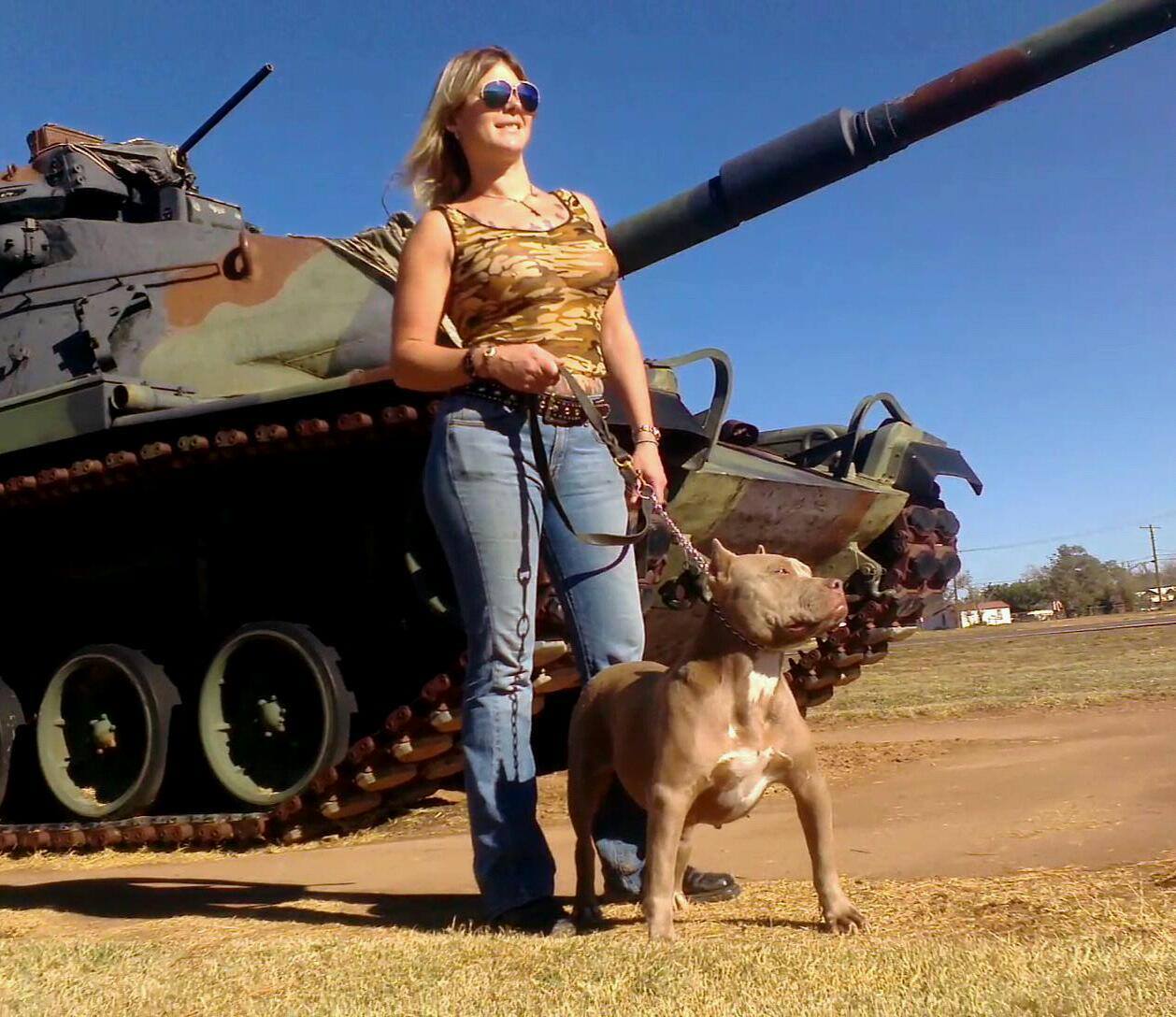 Texas american bully kennel top xl american bully bloodlines in the